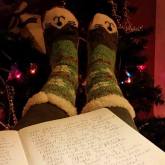 Socks by the fire and Christmas tree